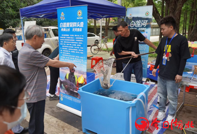 湖北萬灣湖胖頭魚養(yǎng)殖有限公司.png